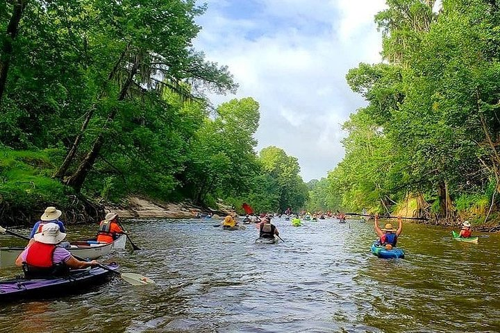 7 Days Sri Lanka Culture and Nature Private Tour from Colombo - Photo 1 of 6
